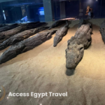 Crocodile museum com ombo