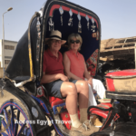 Horse carriage Edfu temple