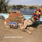 The Nubian Village 1