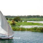felucca 1