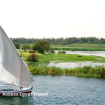 felucca 2