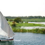 felucca min 1