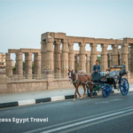 horse carriage 1