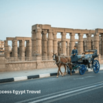 horse carriage min