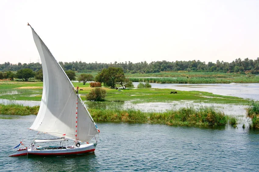 felucca