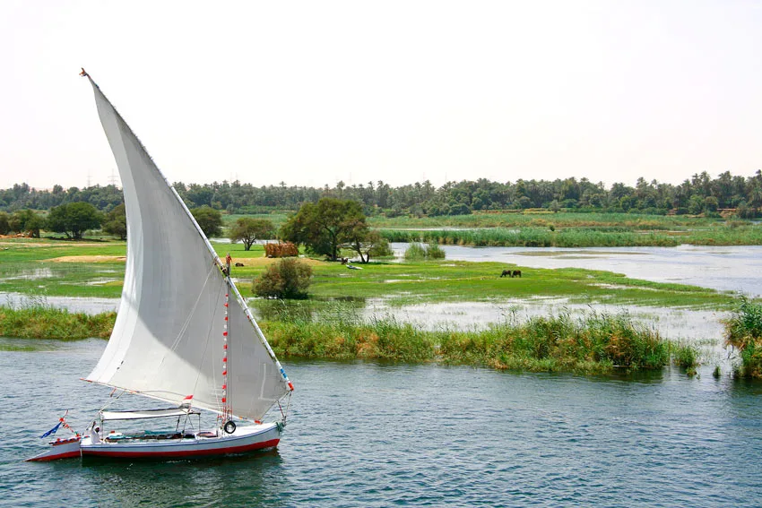 felucca