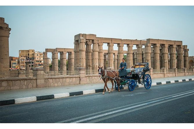 Luxor City Tour in a Horsedrawn Carriage
