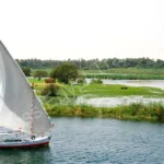 felucca 937ad41ebf