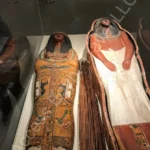 national museum of egyptian civilization cairo egypt